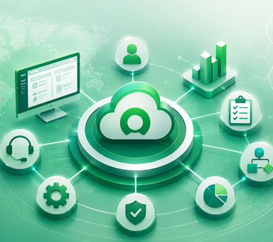 ServiceNow Consultant